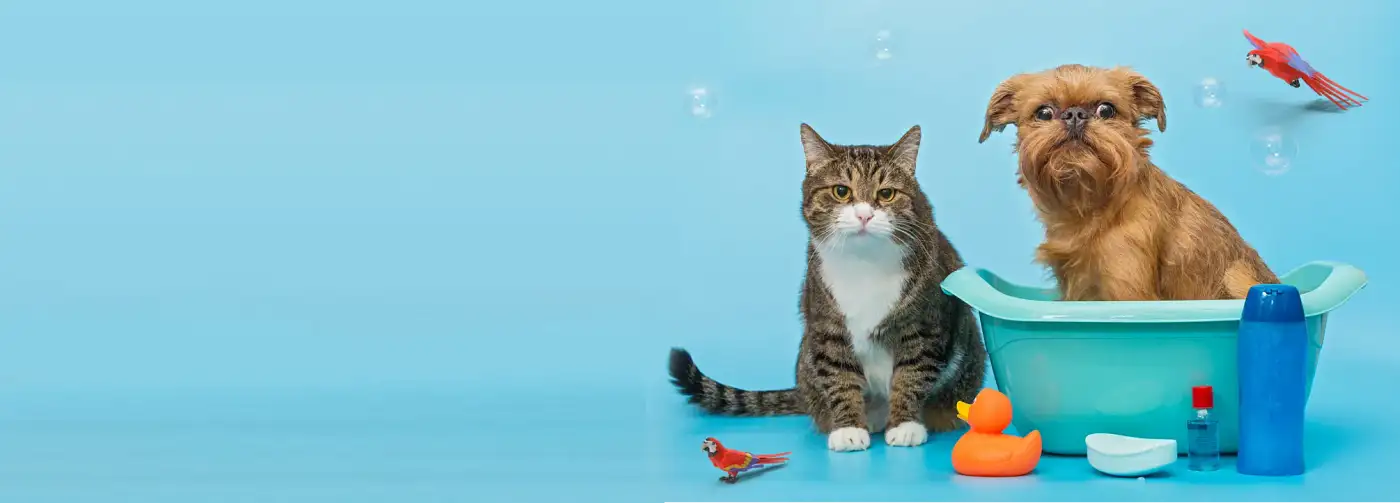 pet-foods-and-supplies