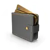 محافظ